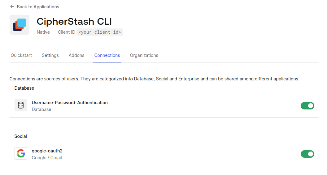 The connections for the newly created CipherStash CLI application defaulting to Google and username and password