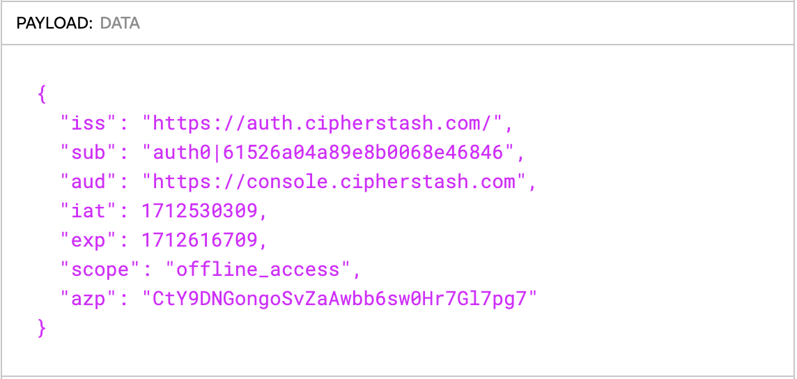 CipherStash JWT Claims from jwt.io